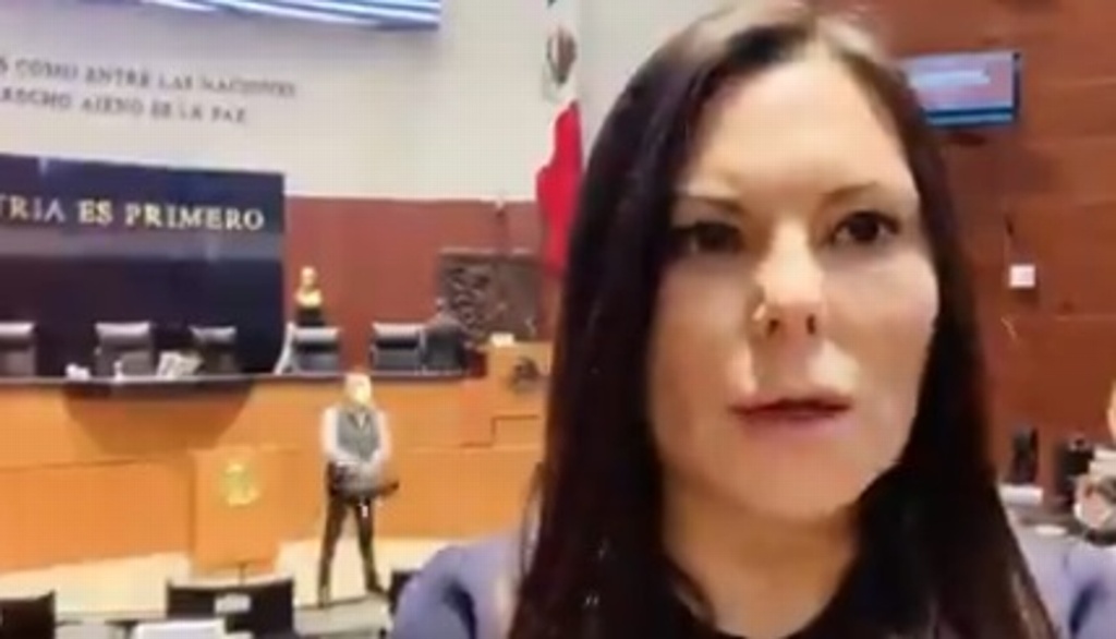 Imagen Sin condiciones sanitarias ni políticas para periodo extra: diputada Laura Rojas (+Video)