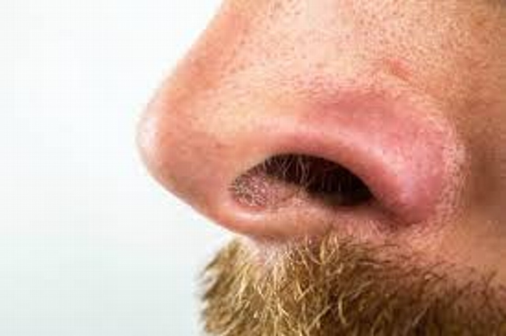 Imagen Prueba de olfato podría predecir diagnóstico de lesiones cerebrales