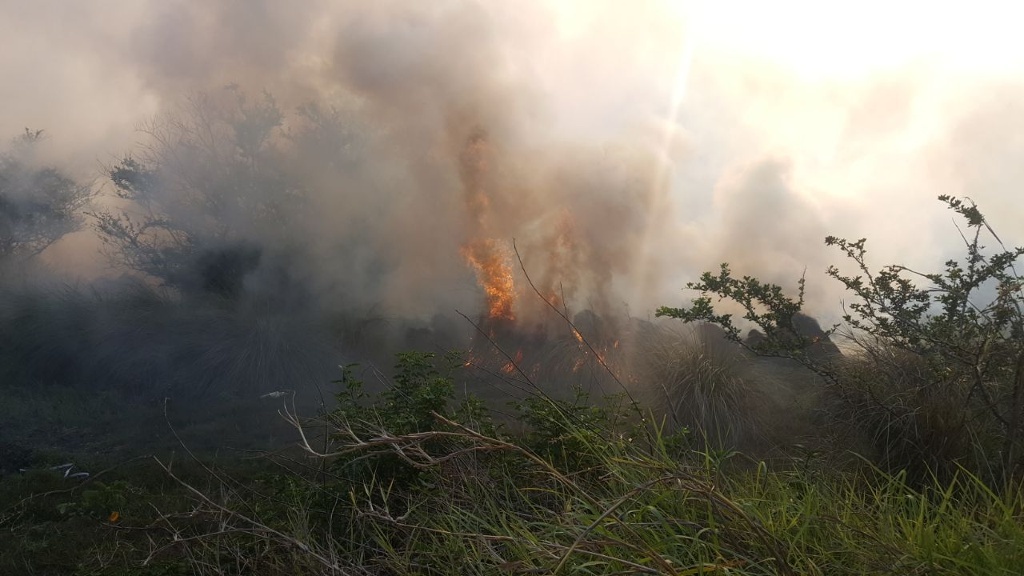 Imagen Incendio junto a puerto seco se originó por quema de basura en Veracruz