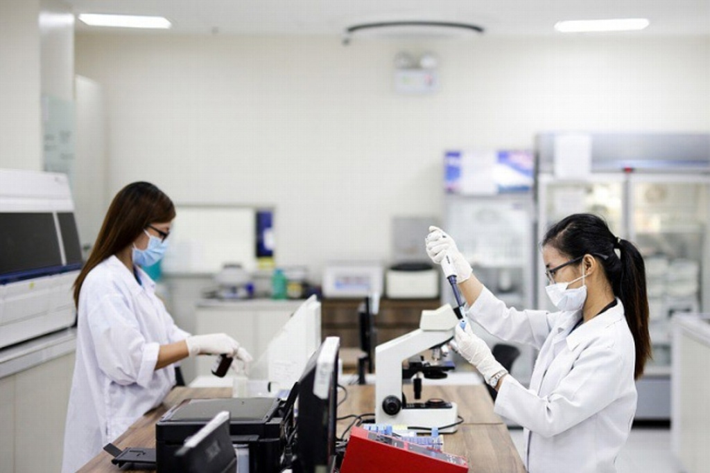 Imagen Confirma estudio que los monos que han sobrevivido a COVID-19 pueden desarrollar inmunidad a la enfermedad