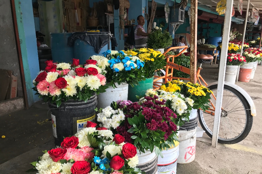 Imagen Venta de flores en panteones de Veracruz bajan hasta un 80%