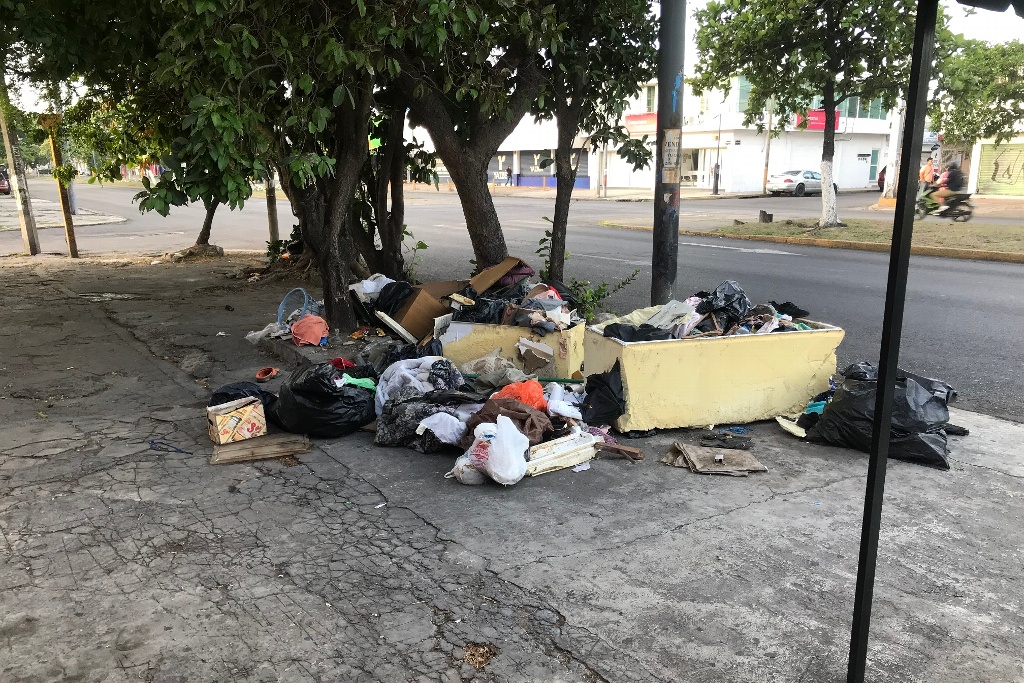 Imagen Reportan acumulamiento de basura y desechos en avenida Cuauhtémoc de Veracruz