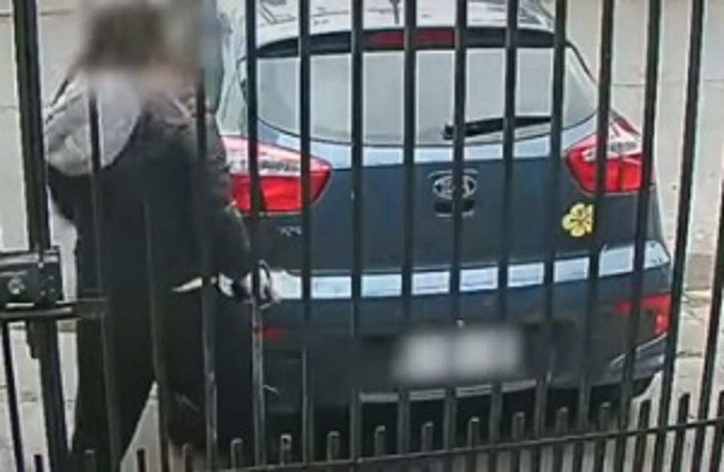 Imagen Intentan asaltarla pero era policía (+Video)