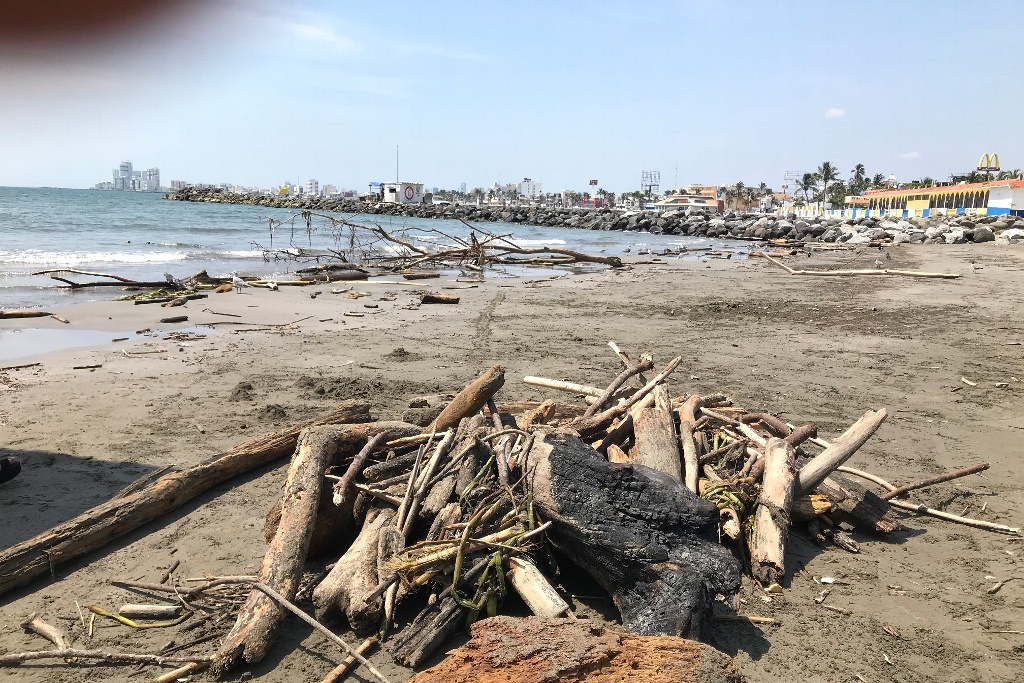Imagen También en Veracruz se registra palizada en playas