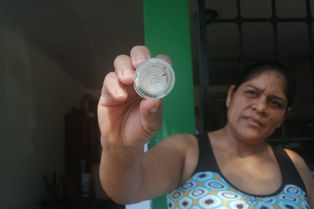 Imagen Larva que crea telarañas ha invadido árboles y casas en colonia de Veracruz, reportan vecinos