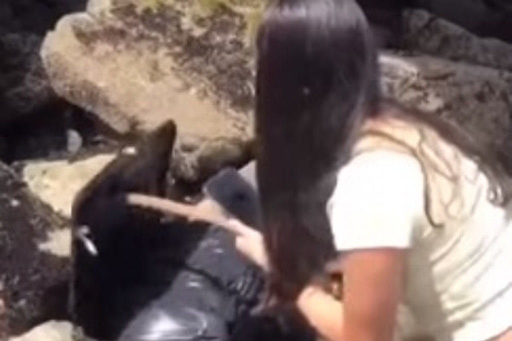 Imagen Jóvenes hallan cuerpo dentro de una maleta y lo suben a Tik Tok 