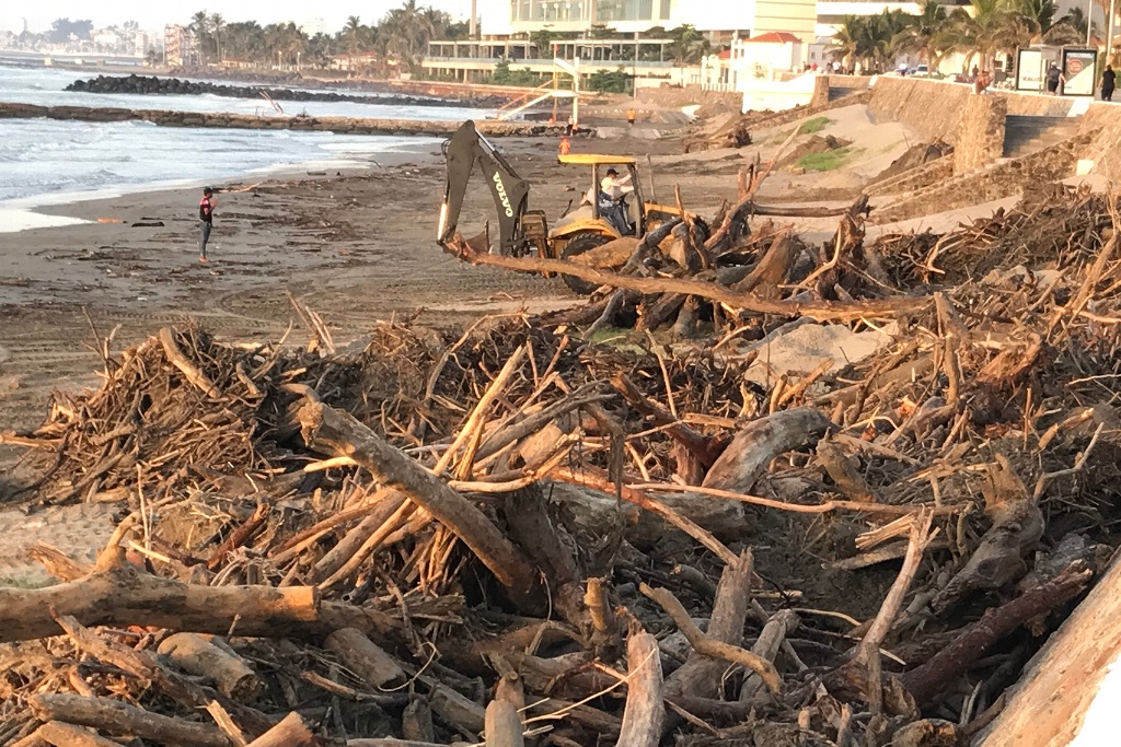 Imagen Sigue llegando gran cantidad de palizada a playas de Boca del Río