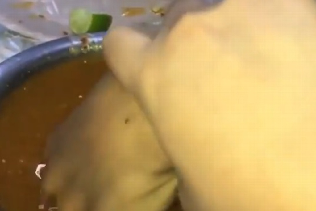 Imagen Se vuelve viral #LadyMarrana por meter mano en la salsa de taquería (+Video)