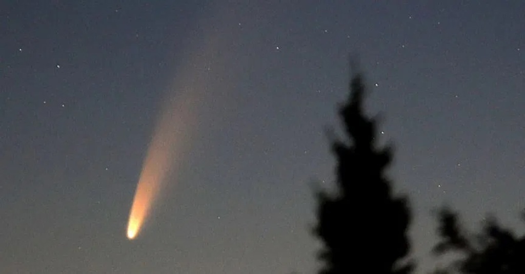Imagen Astrónomo explica cómo ver el cometa NEOWISE  