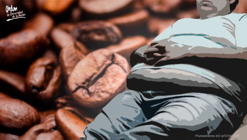Imagen UNAM crea un parche de cafeína para combatir obesidad y sobrepeso