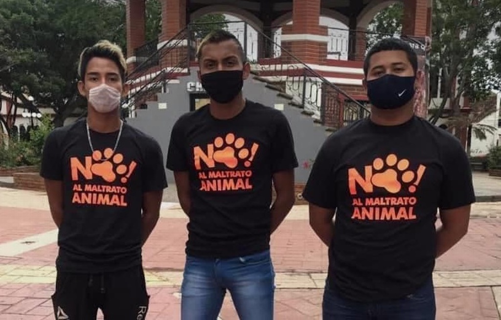 Imagen Imponen servicio comunitario a jóvenes y los obligan a disculparse tras maltratar a un gato, en Chiapas