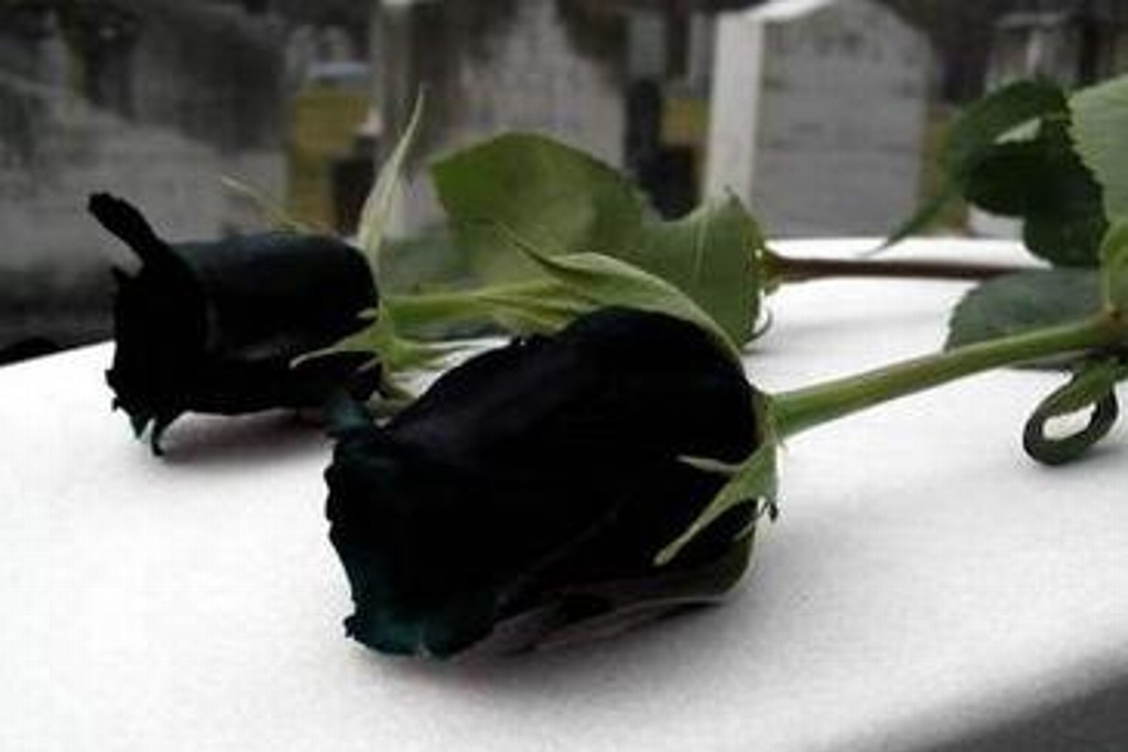 Imagen Fallece Enrique Robinson Bours, fundador de Bachoco