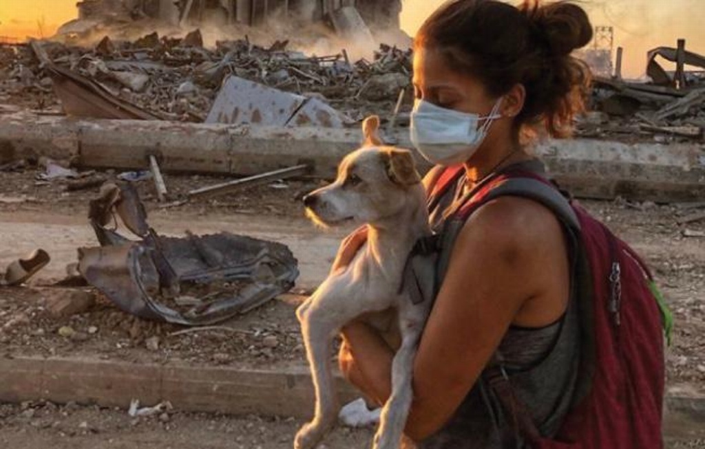 Imagen De esta manera rescatan a mascotas atrapadas tras explosión en Beirut