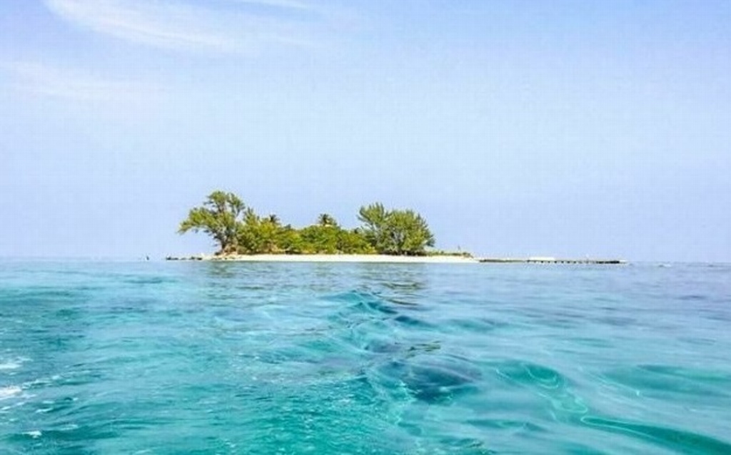 Imagen Destacan a Isla de Enmedio, en Veracruz, como 