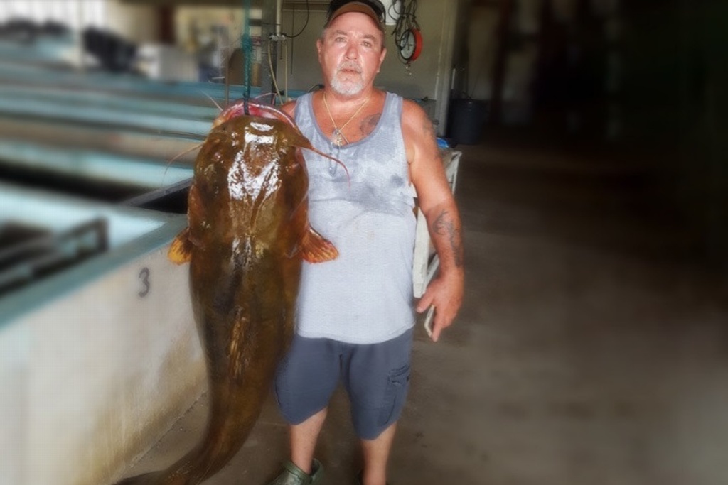 Imagen Pesca bagre de casi 32 kilos en río y bate récord