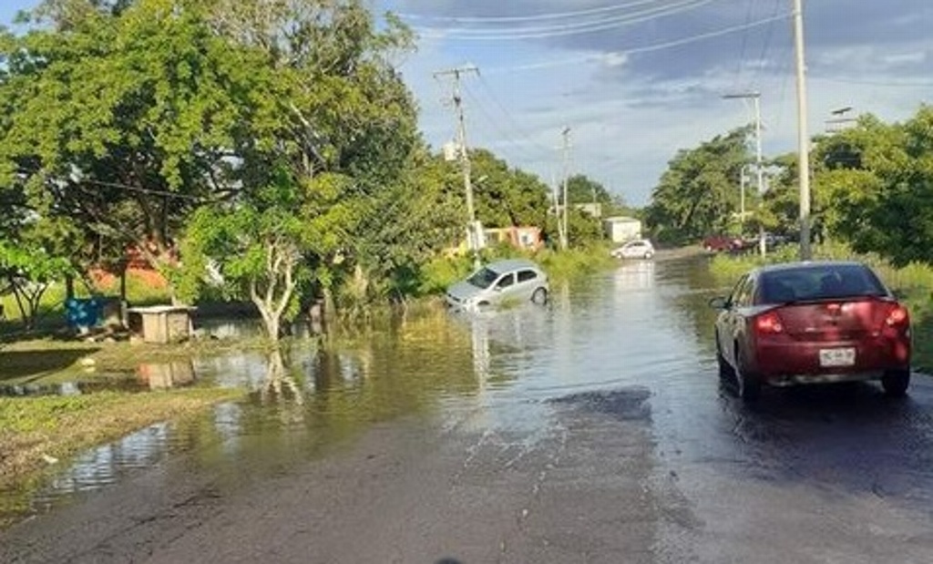 Imagen El lunes inicia rehabilitación de acceso a Mata Cocuite: Obras Públicas
