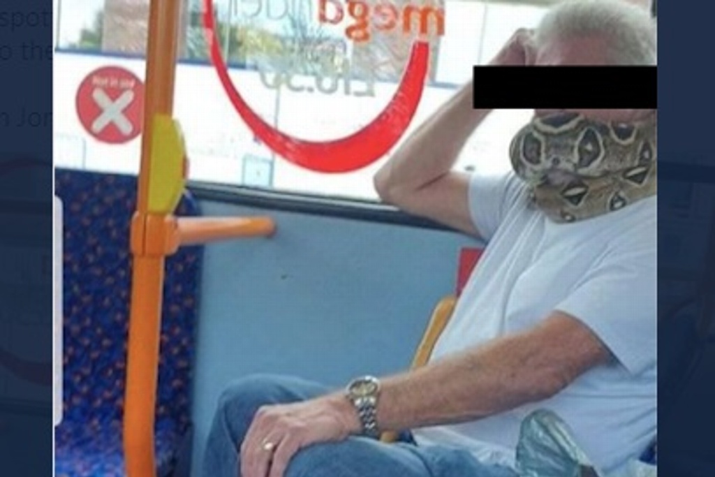 Imagen Se viraliza por llevar víbora en el cuello en vez de cubrebocas en un autobús