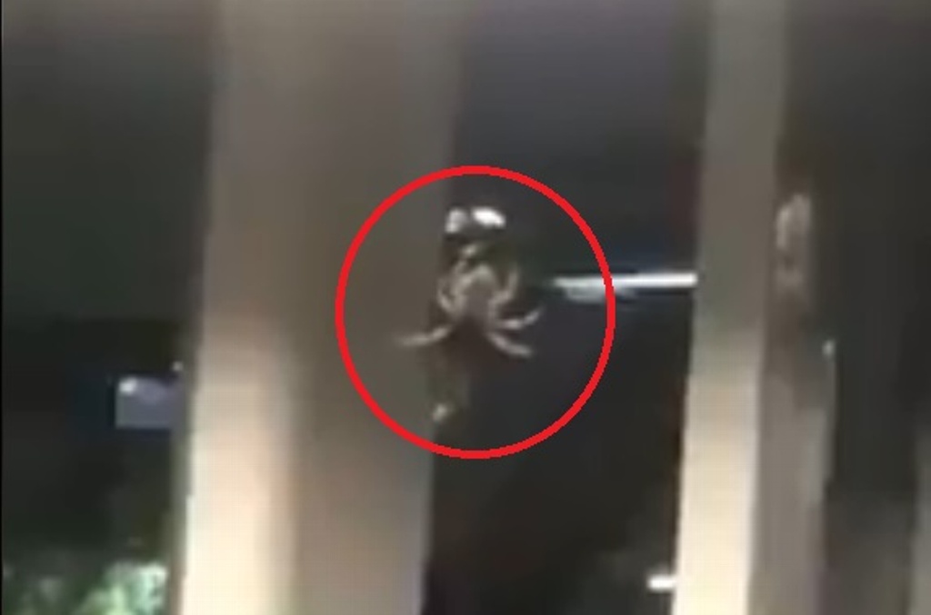 Imagen Captan “araña gigante” columpiándose en estación del metro de la CDMX (+Video)