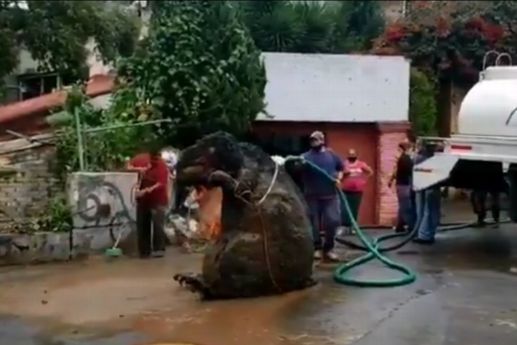 Imagen Hallan 