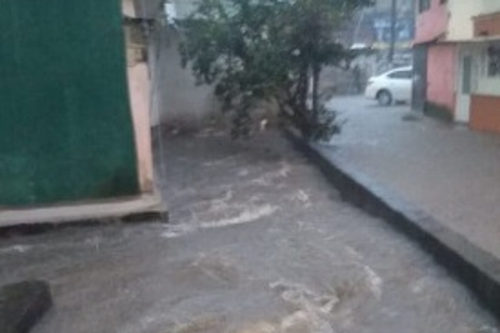 Imagen Atienden inundaciones, deslaves y caída de árboles en Xalapa, Veracruz, por fuerte lluvia de ayer