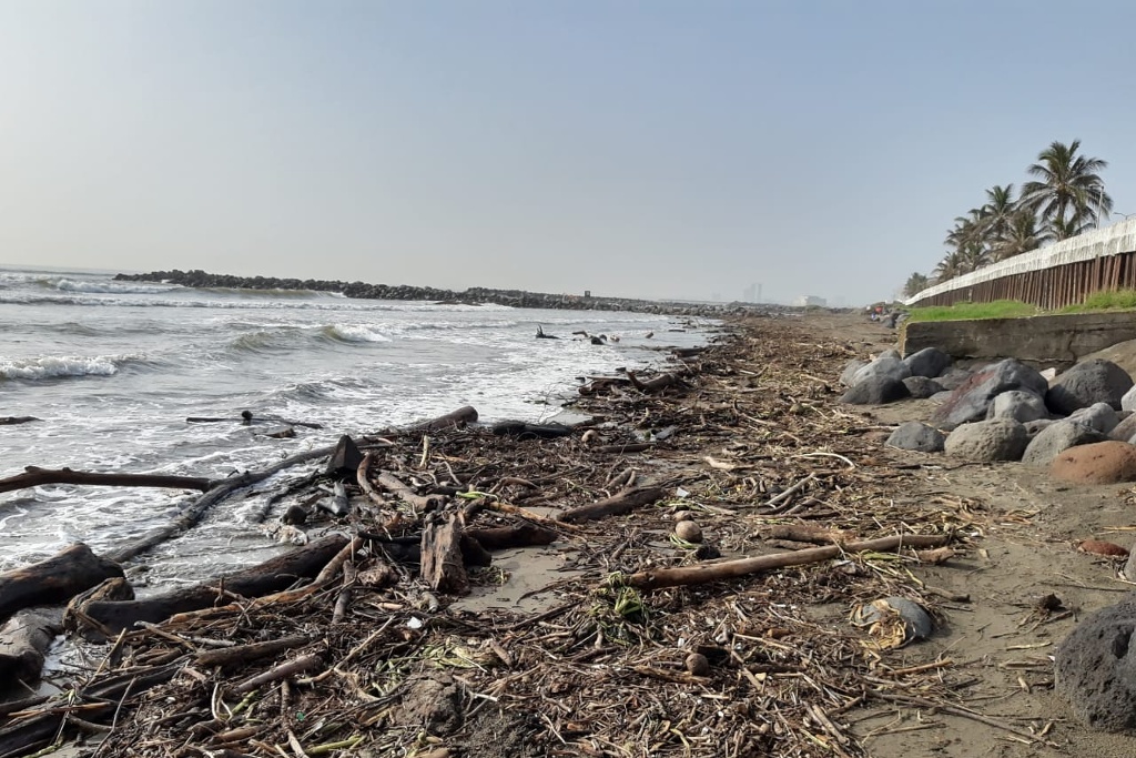 Imagen Prevén que palizada en Veracruz y Boca del Río sea de menor magnitud que en Ignacio de la Llave 