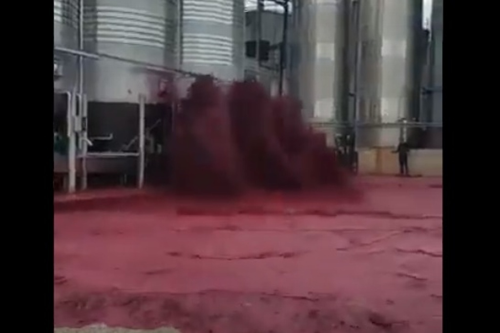 Imagen Revienta depósito de vinos en España; reportan pérdida de al menos 50 mil litros (+video)