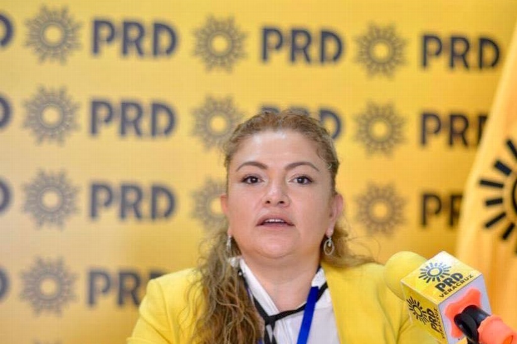 Imagen Se dialoga con el PAN y PRI para posibles alianzas en próximas elecciones: PRD Veracruz