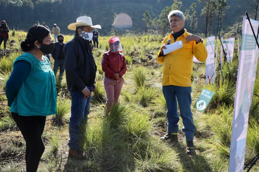 Imagen Avanza reforestación de la reserva San Juan del Monte, en Las Vigas: gobernador de Veracruz