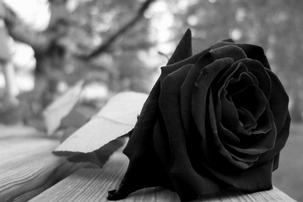 Imagen Fallece Myrna Gallagher, fundadora de los 'Retiros de Emaús'