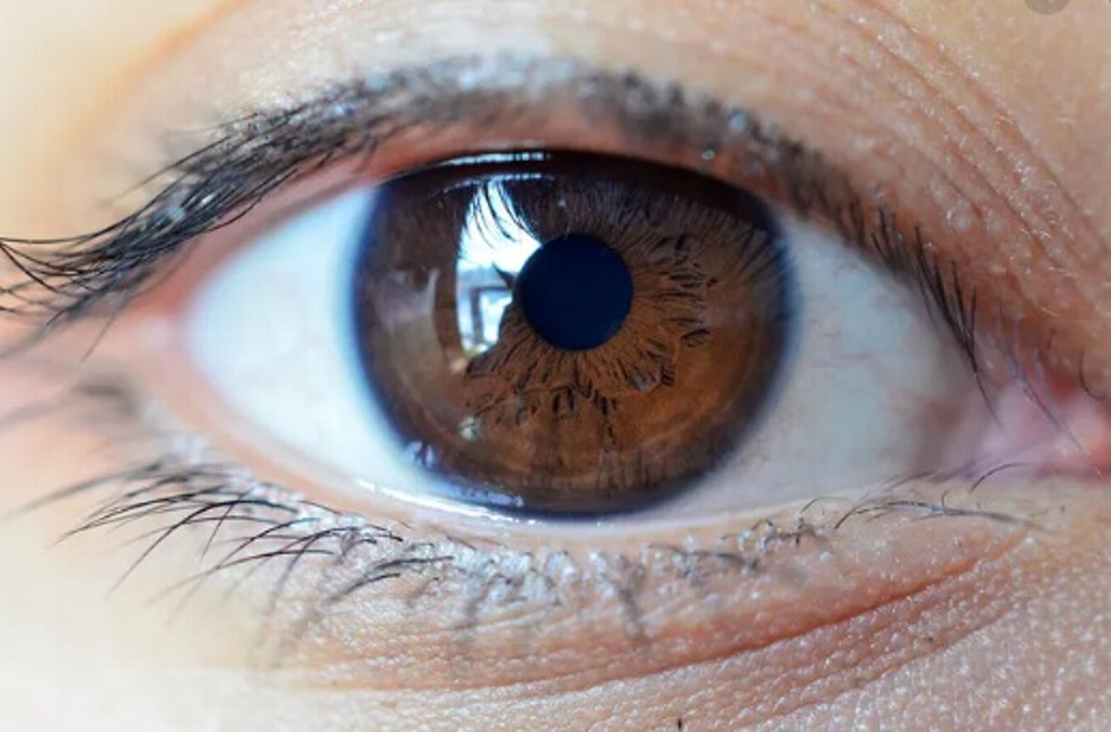Imagen Padeció COVID-19, desarrolló glaucoma y perdió la vista