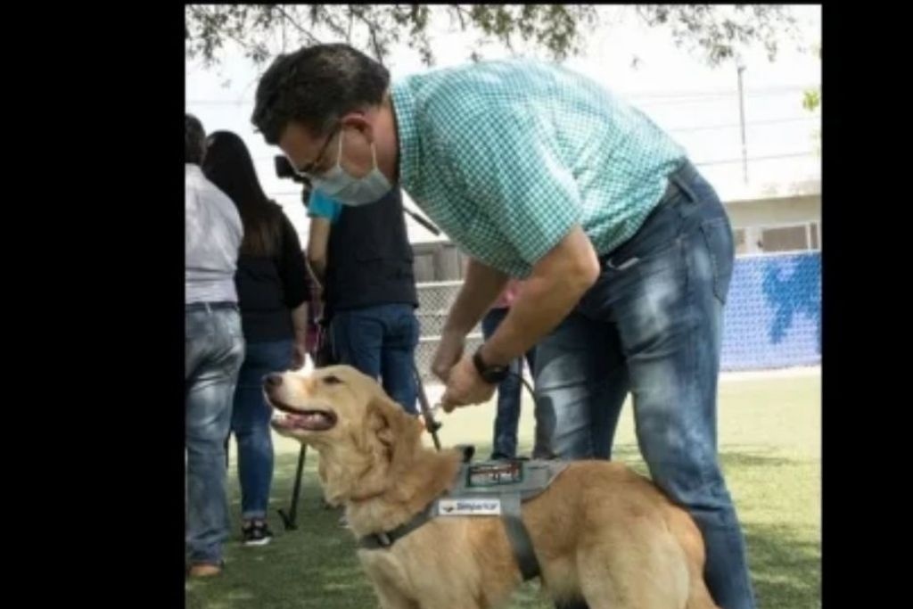Imagen Entrenan perros para detectar casos de COVID-19 en Sonora
