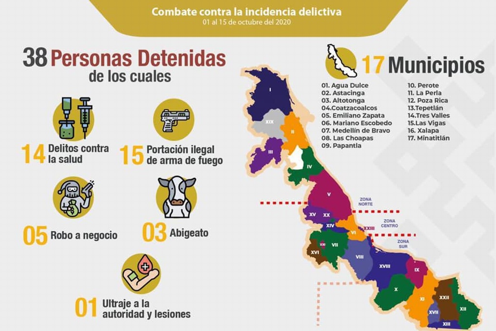 Imagen Detienen a 38 personas en 17 municipios de Veracruz 