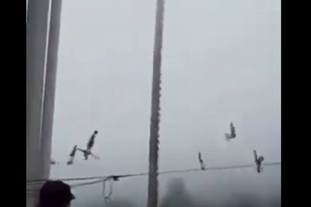 Imagen Captan caída de volador de Papantla durante ceremonia (+Video)