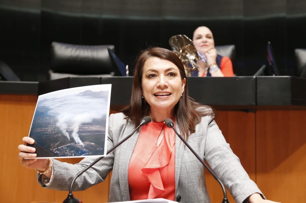 Imagen Guadalupe Saldaña, senadora del PAN, da positivo por COVID-19