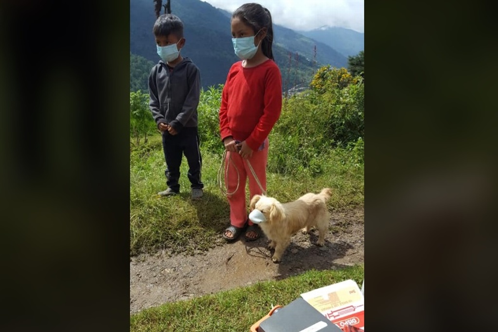 Imagen Se viralizan niños que llevan a vacunar a perro con cubrebocas