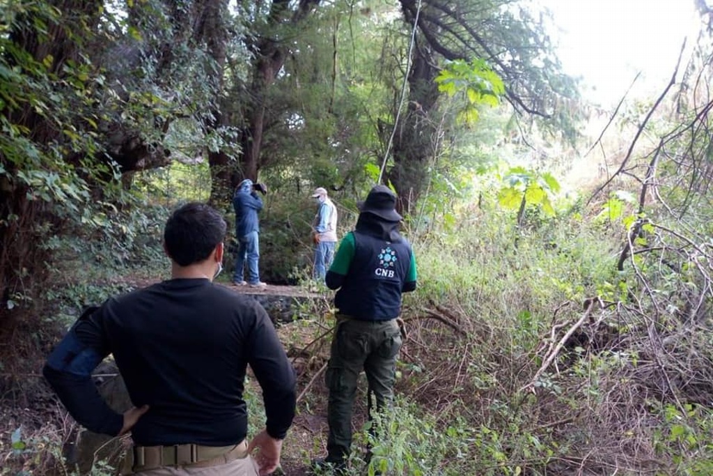 Imagen Podría haber adolescentes entre cuerpos encontrados en Guanajuato 