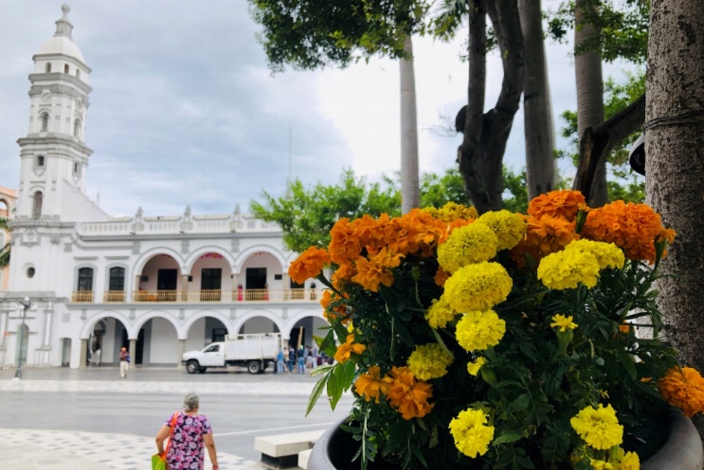 Imagen Lucen plantas de cempasúchil en el zócalo de Veracruz (Fotos)