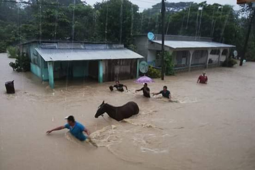 Imagen Socavones, viviendas y carreteras afectadas en 9 municipios de Veracruz por frente frío