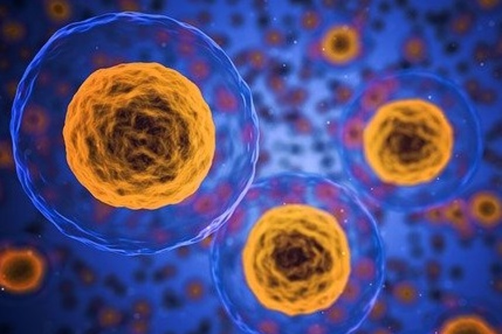 Imagen Científicos aseguran haber descubierto método para revertir envejecimiento celular