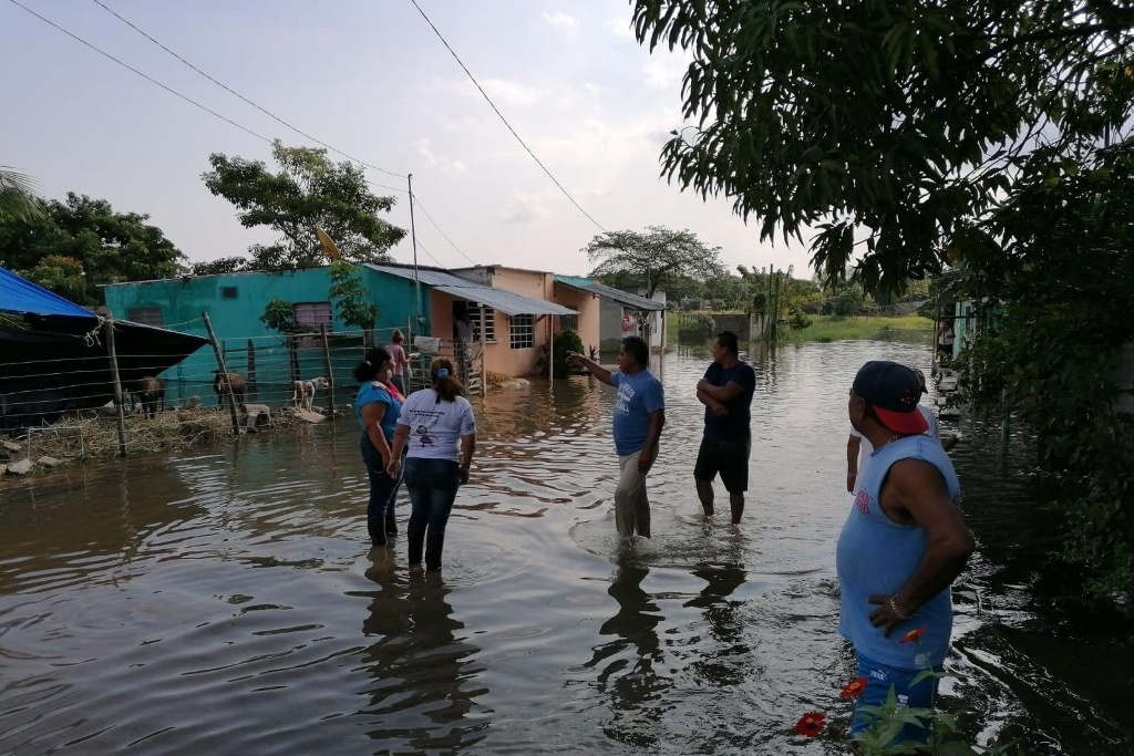 Imagen Reportan nueve colonias afectadas en Las Choapas por las inundaciones 