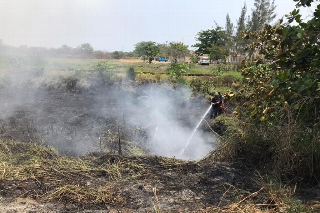 Imagen Este año los incendios de pastizales en Veracruz se han reducido: PC