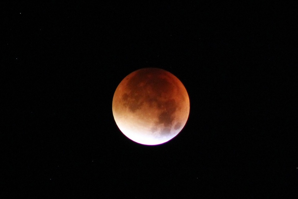 Imagen Así se verá el último eclipse de luna de 2020 este 30 de noviembre 