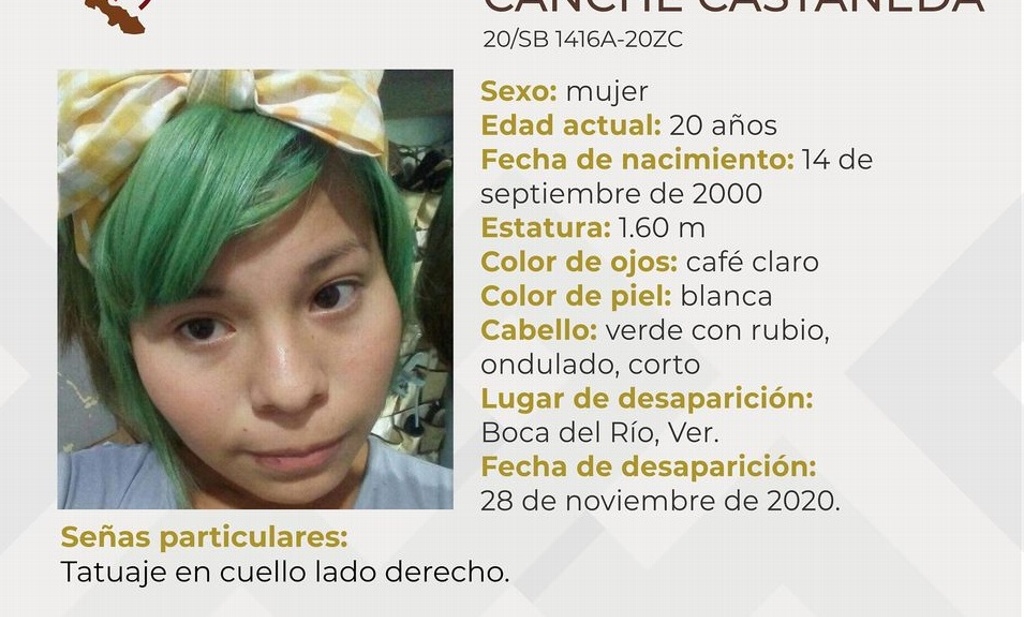 Imagen Reportan desaparición de joven en Boca del Río, Veracruz