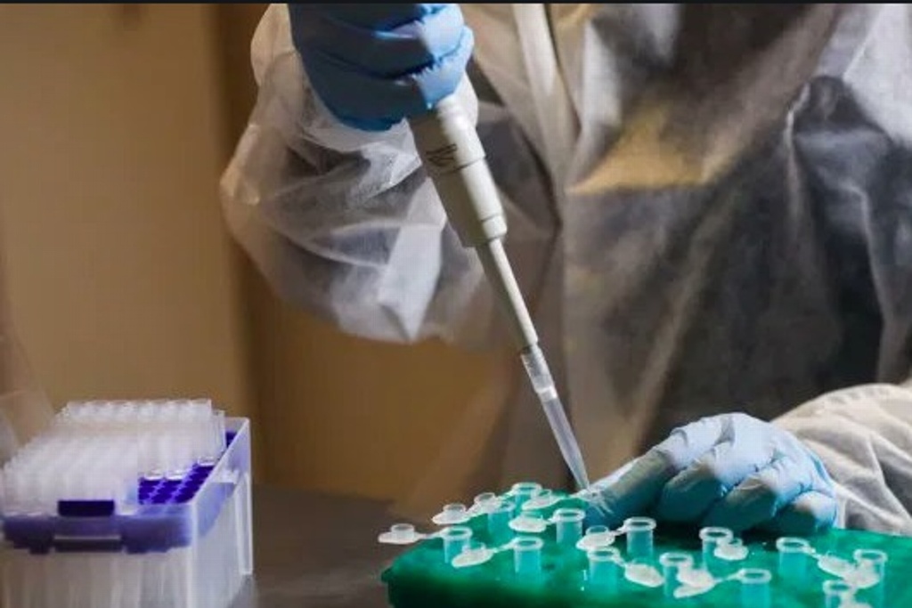 Imagen Científicos desarrollan vacuna para combatir crecimiento de tumores cancerígenos