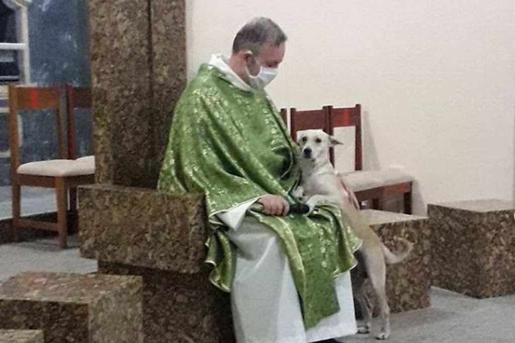 Imagen Sacerdote rescata perritos de la calle y los lleva a misa para que los adopten (+Fotos)