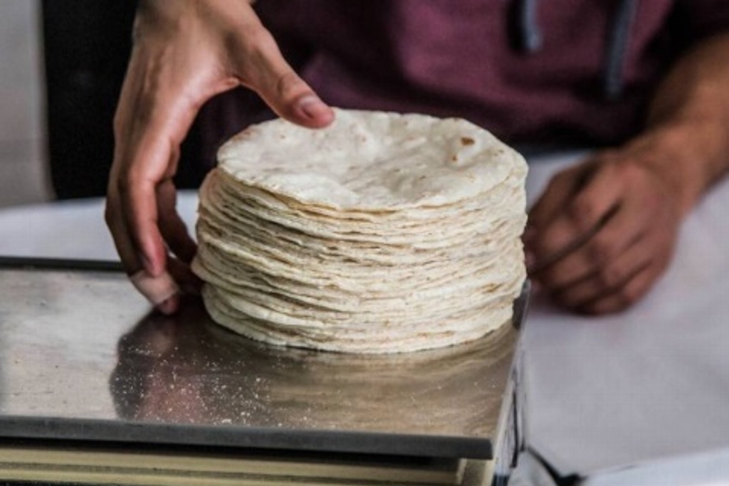 Imagen Prevén que precio del kilo de tortilla suba en febrero
