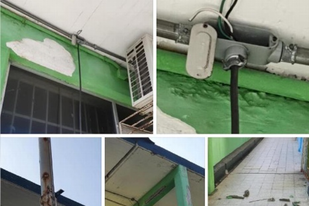 Imagen Roban nuevamente en escuela primaria ubicada en el centro histórico de Veracruz