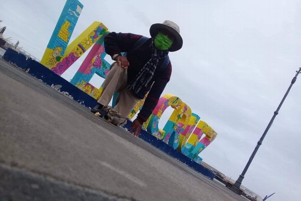 Imagen Esta no es una clásica historia de amor; ocurrió entre un ave y un artista en Veracruz (+ fotos)