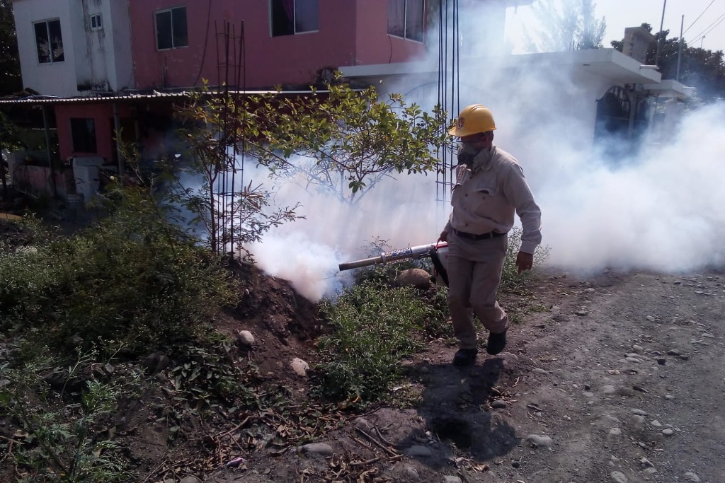 Imagen Estado de Veracruz reporta sólo cinco casos de dengue en lo que va de 2021
