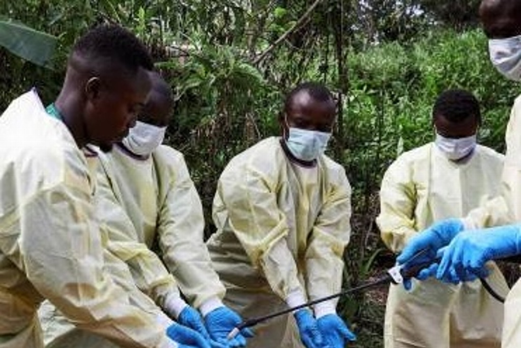 Imagen OMS declara alerta por alto riesgo de epidemia de ébola en África